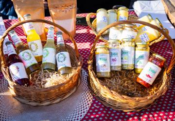 Les jeunes artistes algériens, nouvelle génération créative